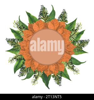 Aprikosenaquarell Weihnachtsbaumblüten mit Tannenzweigen und grünen Blättern die Elemente sind auf weißem Hintergrund isoliert. Stockfoto