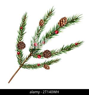tannenholz und Tannenzweig, Zedernholz, Tanne und Lärchenkegel. Neujahrsbotanische Illustration realistischer roter Beeren isoliert auf weißem bac Stockfoto