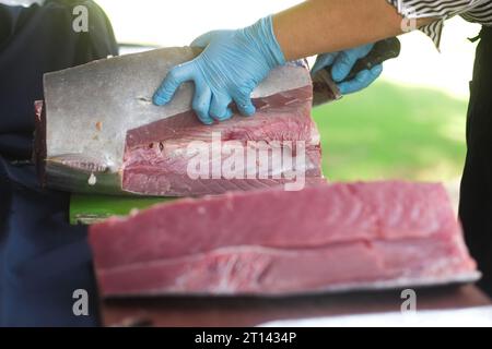 Weibliche Hände mit blauen Handschuhen schneiden großen Thunfischbauch mit einem scharfen Messer. Roher, frischer Fisch auf Schneidebrett. Zubereitung für Sashimi, eine japanische Delikatesse. Stockfoto