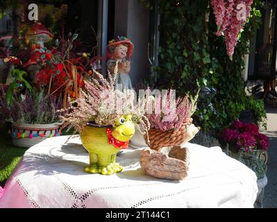 Blumenarrangements mit Heidekraut in dekorativen Töpfen vor dem Blumengeschäft in Bukarest Stockfoto