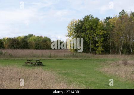 Weldon Woodland Park, Northamptonshire, England, Großbritannien Stockfoto