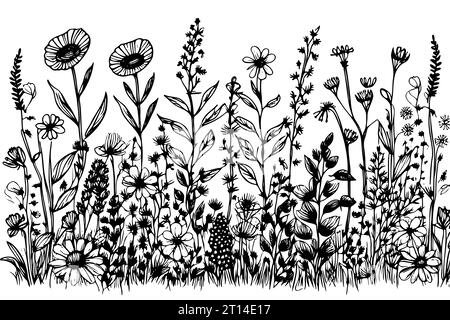Sketch Set Kräuter und Wildblumen. Handgezeichnetes Blumenmuster. Vektorabbildung Stock Vektor