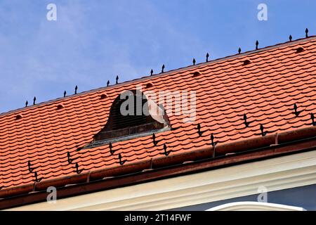 beavertail schräges Dach aus Tonziegeln. Rotbraune Farbe. Verkupferter Dormer. Schneeschutzvorrichtungen aus Schmiedeeisen oder Stahl. Schneeschutz. Dachkonstruktion. Blauer Himmel Stockfoto