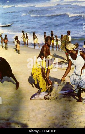 Afrikanische Frauen sammeln frischen Fisch an einem Strand in der Nähe von Accra, Ghana, um 1959 Stockfoto