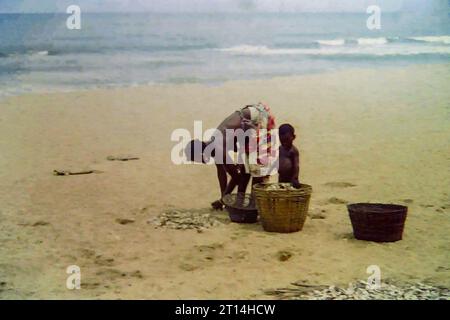 Afrikanische Frauen sammeln frischen Fisch an einem Strand in der Nähe von Accra, Ghana, um 1959 Stockfoto