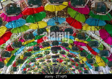 Regenschirm Park Arch, Doha, Katar Stockfoto