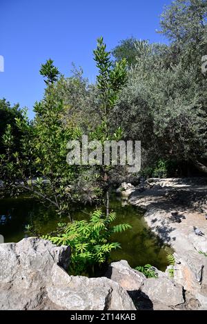 Grünanlagen im Nationalgarten in Athen, Griechenland Stockfoto