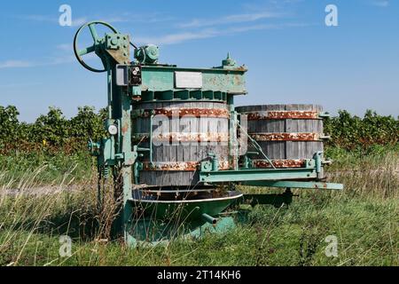 Zwei gereifte Holzweinpresse in üppigem Grün an einem sonnigen Tag in Deutschland Stockfoto