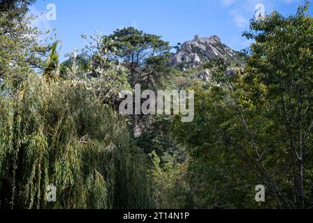 Mit Blick auf das Schloss der Mauren, Sintra, Portugal Sintra ist eine Stadt und Gemeinde im Großraum Lissabon in Portugal, Ein wichtiger Touristenort Stockfoto