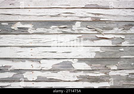 Raue Knisterfarbe auf Holzbrettern, weiße Farbe löst sich ab, horizontale Holzbretter. Stockfoto