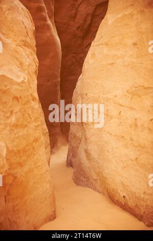 Fantastischer White Canyon auf der Sinai-Halbinsel, Ägypten Stockfoto