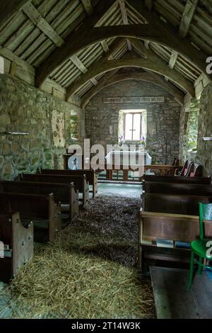 Eglwys Sant Beuno / St. Beuno's Church, Pistyll. Der Kirchenboden ist traditionell mit Sträuchern und Kräutern bedeckt Stockfoto