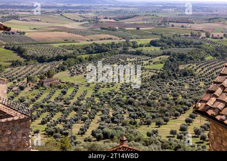 Ackerland und Olivenhaine um Montemassi in der Provinz Grosseto. Italien Stockfoto