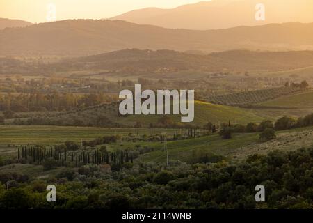 Ackerland und Olivenhaine um Montemassi in der Provinz Grosseto. Italien Stockfoto