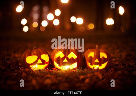 Drei Halloween-Kürbisse in der Nacht im Park Stockfoto