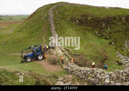 Die Arbeiten beginnen mit der Entfernung des umgeschlagenen Sycamore Gap Baumes an der Hadrian's Wall in Northumberland. Bilddatum: Mittwoch, 11. Oktober 2023. Stockfoto