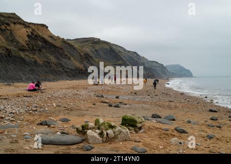 Charmouth, Dorset, Großbritannien. Oktober 2023. Die Temperaturen bleiben im Oktober in Charmouth, Dorset, höher als üblich. Die Leute suchten heute Morgen am Strand nach Fossilien und gingen mit ihren Hunden spazieren. Das Met Office hat eine gelbe Warnung vor Regen für den Südwesten Englands von 21,00 heute Abend bis morgen Nacht ausgegeben. Quelle: Maureen McLean/Alamy Live News Stockfoto