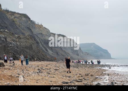 Charmouth, Dorset, Großbritannien. Oktober 2023. Die Temperaturen bleiben im Oktober in Charmouth, Dorset, höher als üblich. Die Leute suchten heute Morgen am Strand nach Fossilien und gingen mit ihren Hunden spazieren. Das Met Office hat eine gelbe Warnung vor Regen für den Südwesten Englands von 21,00 heute Abend bis morgen Nacht ausgegeben. Quelle: Maureen McLean/Alamy Live News Stockfoto