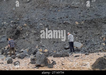 Charmouth, Dorset, Großbritannien. Oktober 2023. Die Temperaturen bleiben im Oktober in Charmouth, Dorset, höher als üblich. Die Leute suchten heute Morgen am Strand nach Fossilien und gingen mit ihren Hunden spazieren. Das Met Office hat eine gelbe Warnung vor Regen für den Südwesten Englands von 21,00 heute Abend bis morgen Nacht ausgegeben. Quelle: Maureen McLean/Alamy Live News Stockfoto