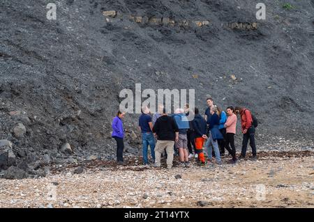 Charmouth, Dorset, Großbritannien. Oktober 2023. Die Temperaturen bleiben im Oktober in Charmouth, Dorset, höher als üblich. Die Leute suchten heute Morgen am Strand nach Fossilien und gingen mit ihren Hunden spazieren. Das Met Office hat eine gelbe Warnung vor Regen für den Südwesten Englands von 21,00 heute Abend bis morgen Nacht ausgegeben. Quelle: Maureen McLean/Alamy Live News Stockfoto