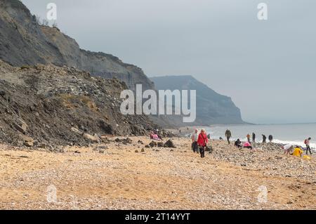 Charmouth, Dorset, Großbritannien. Oktober 2023. Die Temperaturen bleiben im Oktober in Charmouth, Dorset, höher als üblich. Die Leute suchten heute Morgen am Strand nach Fossilien und gingen mit ihren Hunden spazieren. Das Met Office hat eine gelbe Warnung vor Regen für den Südwesten Englands von 21,00 heute Abend bis morgen Nacht ausgegeben. Quelle: Maureen McLean/Alamy Live News Stockfoto