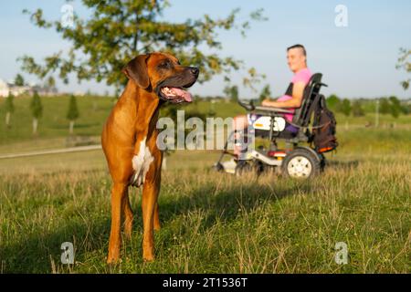 Glücklicher junger Mann mit körperlicher Behinderung im Rollstuhl und seinem Hund Stockfoto
