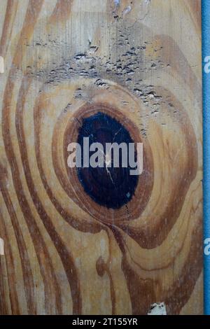 Detail einer Holzplanke mit Knoten Stockfoto