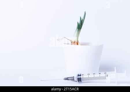 Pflanzen im Labor anbauen. Grüne Zwiebeln auf weißem Hintergrund. Pestizide, Herbizide und Düngemittel für die Pflanzenernährung. Stockfoto