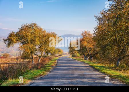 Alte zerrissene Landstraße durch ländliches Tal im Morgenlicht. Herbstliche Landschaft mit Bäumen in Herbstfarben am Straßenrand. Berge im Nebel Stockfoto