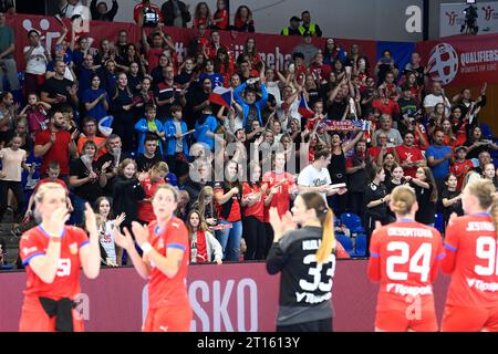 Zlin, Tschechische Republik. Oktober 2023. Tschechische Fans in Aktion während der Qualifikation der Handball-Europameisterschaft der Frauen in der Gruppe 3: Tschechische Republik gegen Finnland in Zlin, Tschechische Republik, 11. Oktober 2023. Quelle: Dalibor Gluck/CTK Photo/Alamy Live News Stockfoto