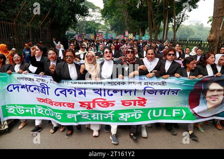 Dhaka, Bangladesch. Oktober 2023. Pro-BNP-Anwälte versammelten sich zu einem Protest und bildeten eine Menschenkette vor dem Obersten Gerichtshof und forderten, dass Khaleda Zia, Vorsitzender der BNP (Bangladesch Nationalist Party), das verfassungsmäßige Recht auf eine fortgeschrittene Behandlung im Ausland, am 11. Oktober 2023 in Dhaka, Bangladesch, bestätigt wird. Khaleda Zia wurde in das Old Dhaka Zentralgefängnis gebracht, sie wurde am 8. Februar 2018 in einem Fall des Zia Waisenhaus Trust von einem unteren Gericht verurteilt. Am 25. März 2020 wurde die BNP-Chefin auf Befehl der Exekutive aus dem Gefängnis entlassen, da sie ihr Alter und ihr humanitärer Grund berücksichtigt Stockfoto