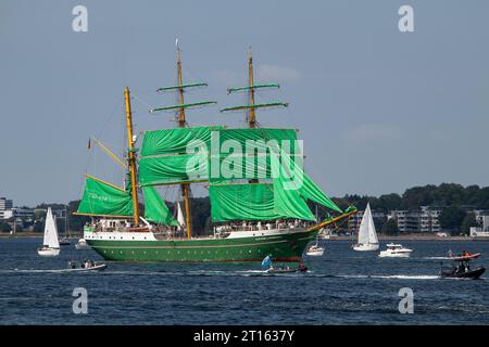 Kiel, Schleswig-Holstein, Deutschland. Juni 2023. Das deutsche Segelschiff Alexander von Humboldt II mit grünen Segeln führt im Rahmen der Kieler Woche die Windjammerparade in der Bucht Kieler Förde in der Ostsee mit rund 60 Großschiffen, traditionellen Segelschiffen, Dampfschiffen und Hunderten von Segelyachten. eine jährliche Segelveranstaltung in Kiel. Stockfoto