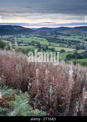 Blick vom Clunbury Hill in der Nähe von Craven Arms in South Shropshire, England, Großbritannien Stockfoto