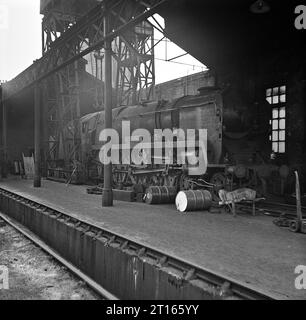 76006 und andere in Bournemouth 1965-67 Stockfoto