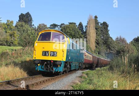 D1062 „Western Courier“ fährt während der SVR Diesel Gala am 29.9,10, von Bridgnorth in Oldbury weg. Stockfoto