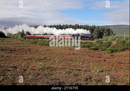 5025 Abfahrten von Aviemore über Granish Moor während der Strathspeys Steam Gala am 17.9,23. Stockfoto