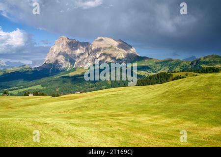 Langkofel und Langkofel nach dem Regen, Dolomiten, Seiser Alm, Südtirol Stockfoto