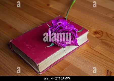 Violette Rose auf altem Buch auf Holztisch. Kopierbereich. Stockfoto