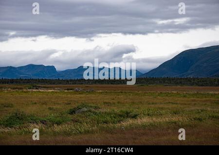 Tablelands Mountains in St. Paul, Neufundland & Labrador, Kanada Stockfoto