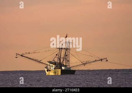 Isle Of Palms, Usa. 10. Oktober 2023. Ein Garnelentrawler schleppt Netze bei Sonnenaufgang entlang der Atlantikküste am 10. Oktober 2023 in Isle of Palms, South Carolina. Garnelenfischerei ist ein traditioneller Wirtschaftszweig im Niederland, leidet jedoch unter extremer Hitze und den hohen Kosten für Dieselkraftstoff, die den Fang reduzieren und dazu führen, dass Garnelen ihre Aktivitäten einstellen. Quelle: Richard Ellis/Richard Ellis/Alamy Live News Stockfoto