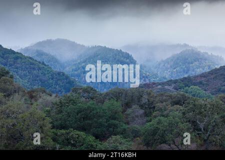 Nebeliger, bedeckter Himmel über den Santa Cruz Mountains. Fremont Other Preserve, Santa Clara County, Kalifornien, USA. Stockfoto