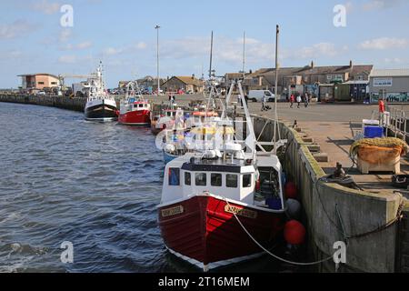 Amble Harbour, Morpeth, Northumberland Stockfoto