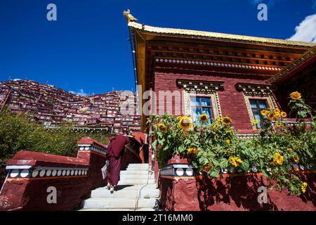 GANZI, CHINA - 11. OKTOBER 2023 - Foto am Morgen des 11. Oktober 2023 zeigt die Landschaft der Seda Wuming Buddhist Academy in Ganzi Tibetan Auto Stockfoto