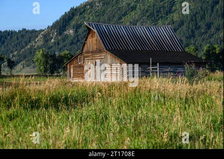 The Barn at Mormon Row im Grand Tetons National Park, Wyoming, USA Stockfoto