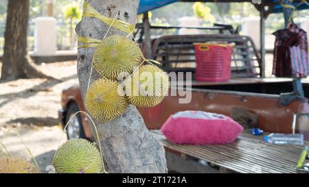 Landschaftsfoto eines Obstverkäufers am Straßenrand, Sulawesi-Achse am Nachmittag in Pinrang City, Indonesien Stockfoto