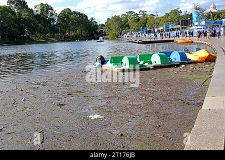 Adelaide Australien. Paddelboote, die im Fluss Torrens vor Anker gebracht wurden, haben durch den jüngsten Regen eine unschöne Aussicht. Stockfoto