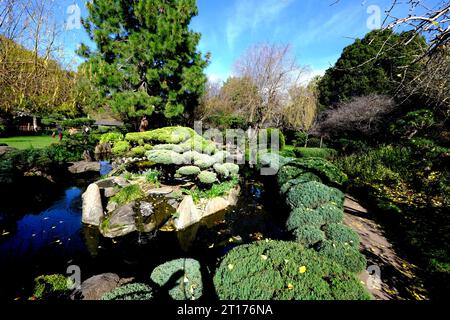 Adelaide Himeji Garden bietet einen Ort für ruhige Meditation in Adelaide Australien Stockfoto