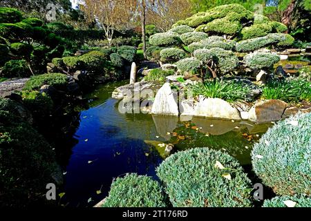 Adelaide Himeji Garden bietet einen Ort für ruhige Meditation in Adelaide Australien Stockfoto