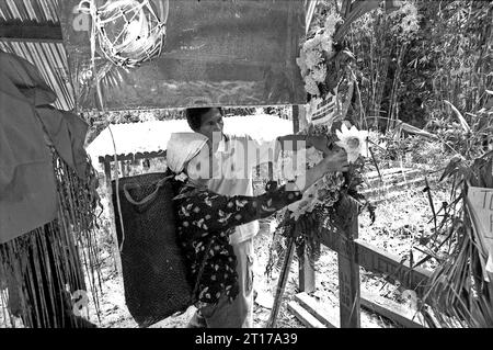 West Kalimantan, Indonesien. März 2007. Moses Salo, traditioneller Häuptling der Longhouse-Gemeinde Dayak Tamambaloh, begleitet seine Frau, während sie Blumen am Grab des ehemaligen Häuptlings, der einige Wochen zuvor verstorben ist, im Dorf Sungai Uluk Palin (Sungulo Palin), Putusibau Utara, Kapuas Hulu, West Kalimantan, Indonesien, arrangiert. Die herrschende Familie der indigenen Gemeinde, die im längsten Langhaus Kalimantans lebt, führt traditionelle Veranstaltungen zu Ehren des ehemaligen Häuptlings durch. Im September 2014 wurde ihr Langhaus durch einen Unfall niedergebrannt, ohne dass Ersatz gebaut wurde Stockfoto