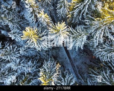Straße im Winterwald von oben Stockfoto